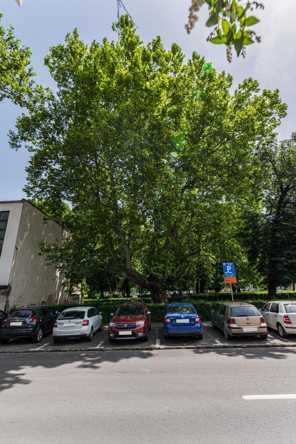Sabin Apartments Private Parking Brasov Bagian luar foto