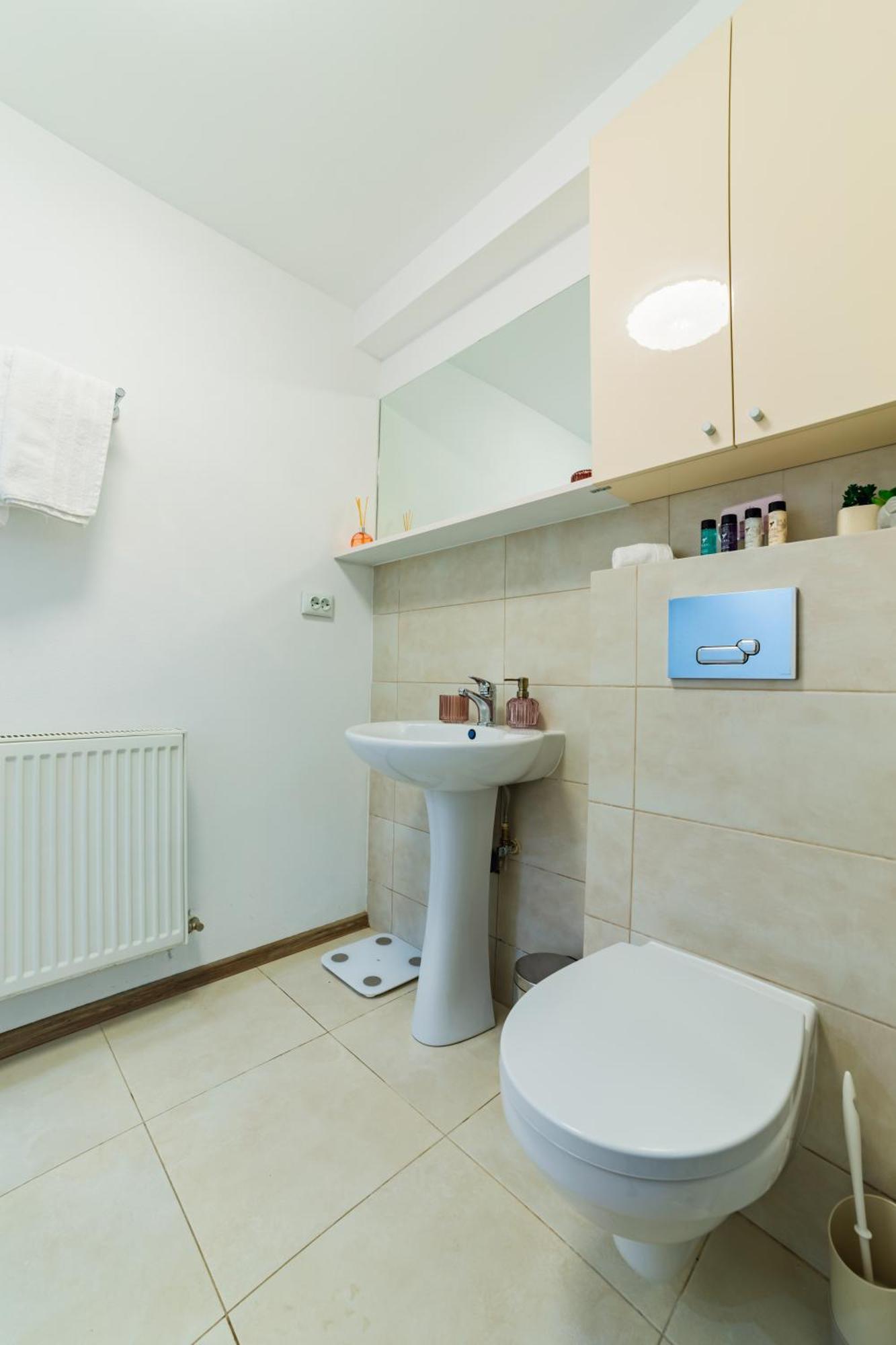 Sabin Apartments Private Parking Brasov Bagian luar foto